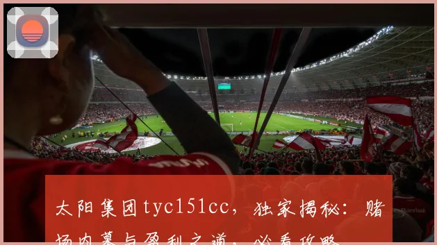 太阳集团tyc151cc，独家揭秘：赌场内幕与盈利之道，必看攻略