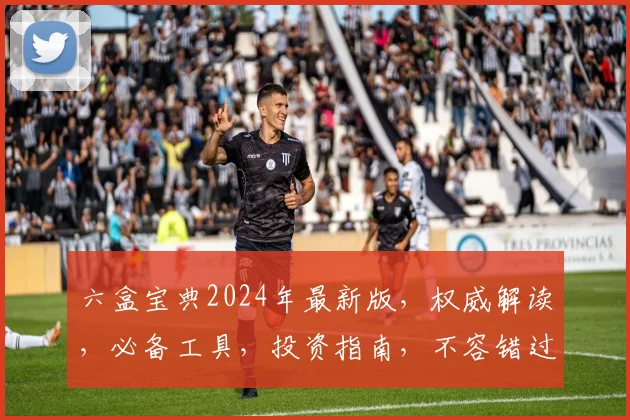 六盒宝典2024年最新版，权威解读，必备工具，投资指南，不容错过，双剑合璧