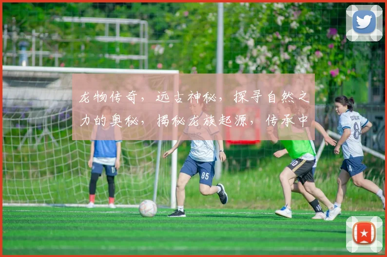 龙物传奇，远古神秘，探寻自然之力的奥秘，揭秘龙族起源，传承中华智慧。