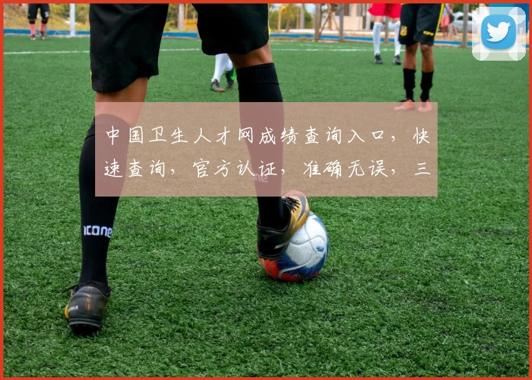 中国卫生人才网成绩查询入口，快速查询，官方认证，准确无误，三步轻松获取